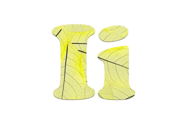 istock Leaf textured  letter  in a 3D illustration  on a white background 854089848