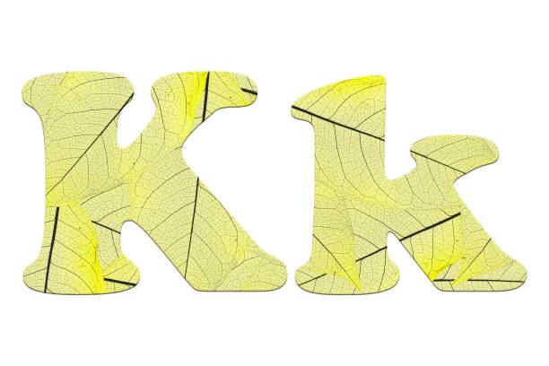 istock Leaf textured  letter  in a 3D illustration  on a white background 854090316