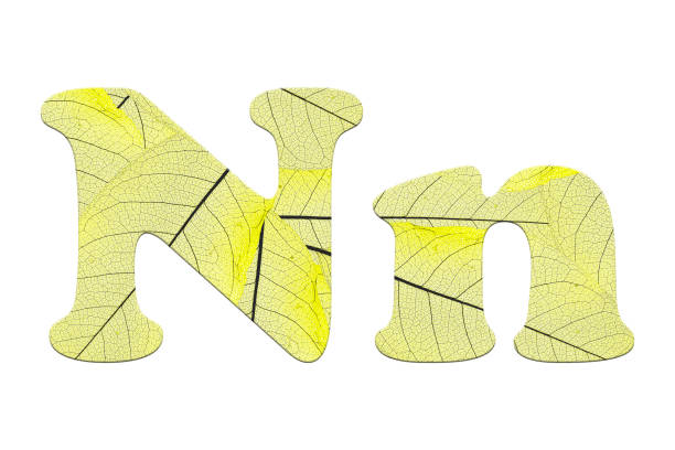 istock Leaf textured  letter  in a 3D illustration  on a white background 854090944