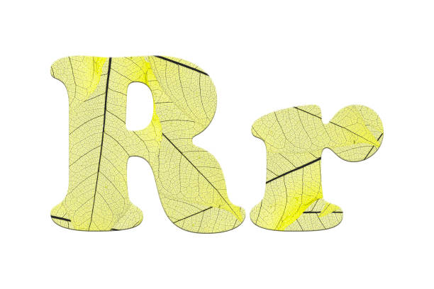 istock Leaf textured  letter  in a 3D illustration  on a white background 854093652