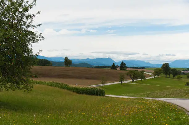 Empty winding country road in Austria