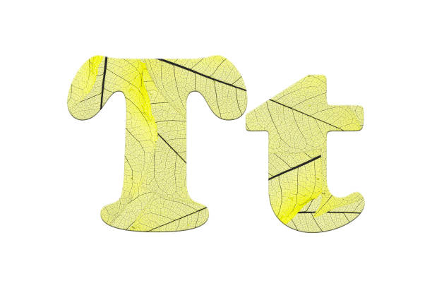istock Leaf textured  letter  in a 3D illustration  on a white background 854094028