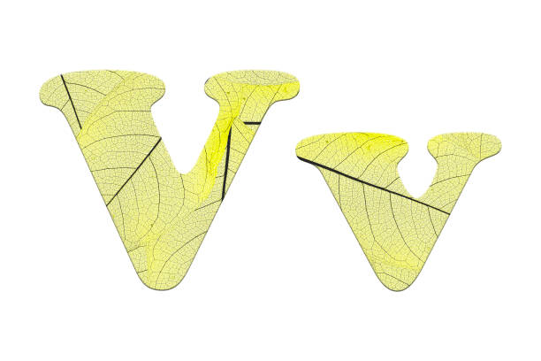 istock Leaf textured  letter  in a 3D illustration  on a white background 854094714
