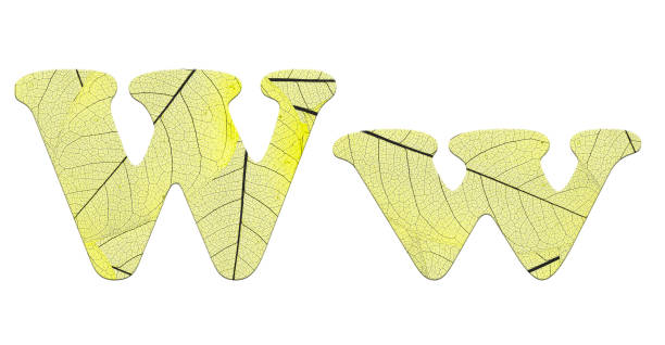 istock Leaf textured  letter  in a 3D illustration  on a white background 854094978