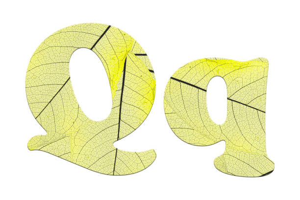 istock Leaf textured  letter  in a 3D illustration  on a white background 854095254