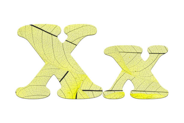 Leaf textured  letter  in a 3D illustration  on a white background