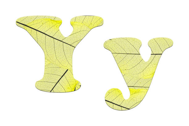 istock Leaf textured  letter  in a 3D illustration  on a white background 854095722