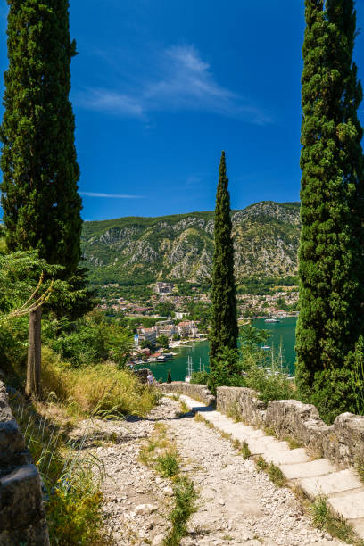 istock View on Kotor bay and Old Town 854098262