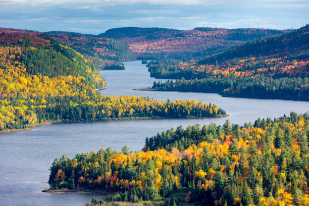 herbst farben in la mauricie national park mit wapizagonke see und der île aux pins (pine island), in québec, kanada. - laurentian moutains stock-fotos und bilder