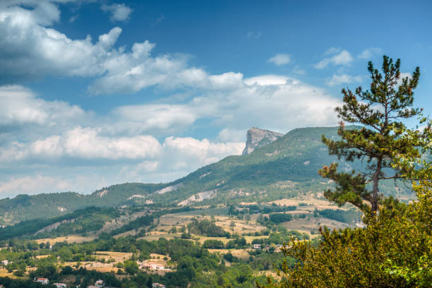 istock Rocks covered with grass, pine against the sky with clouds 854098858
