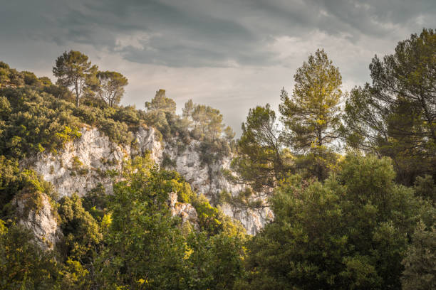 istock Rocks covered with grass, trees against a gray sky with clouds 854099056