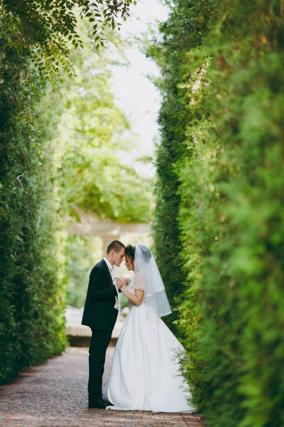 istock Beautiful wedding couple on a walk outdoor 854103858