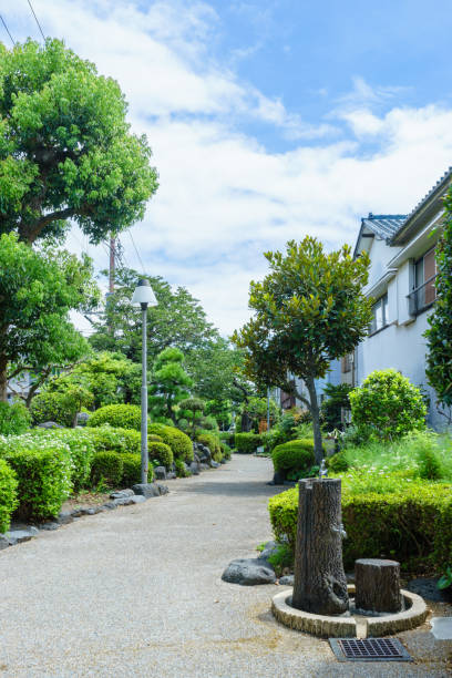 istock Jamatsu Green road 854104142