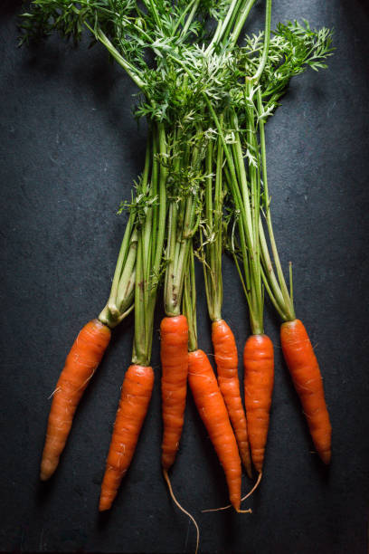 istock Fresh carrots with tops on a gray stone 854104946