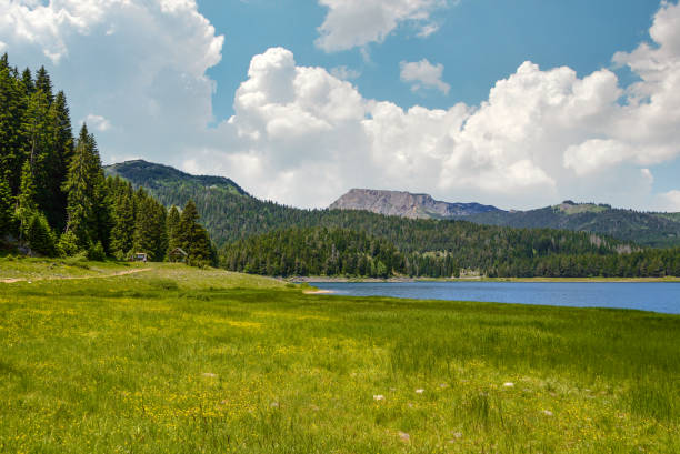 istock View of The Black Lake 854109960