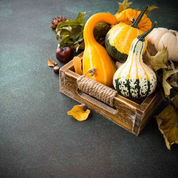 istock Autumn pumpkin thanksgiving background 854110248
