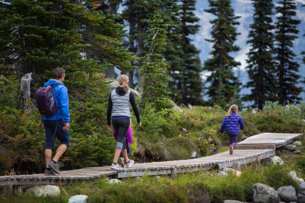 istock Family of four enjoying a walk 854115802