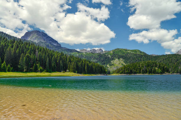 istock View of The Black Lake 854120144