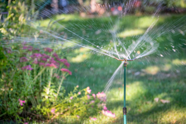 istock water sprinkler in flower garden 854121488