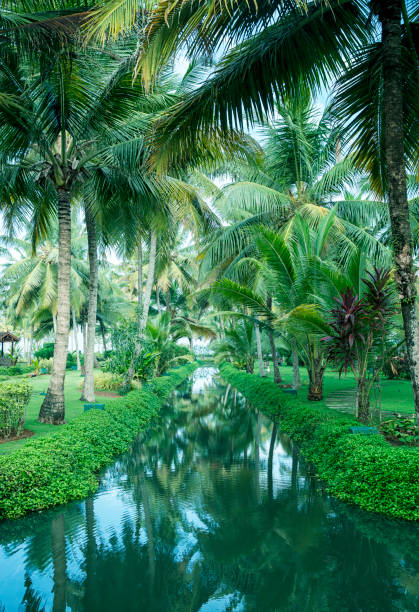 istock Kerala Bckwater. South India. 854121810