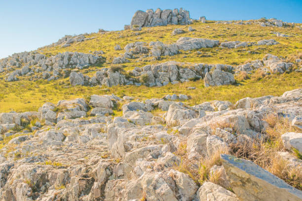 록 키 시골 풍경, 말도 나도, 우루과이 - cerro catedral 뉴스 사진 이미지