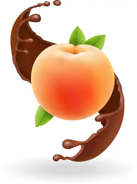 Vector illustration of Ripe whole peach in chocolate splash