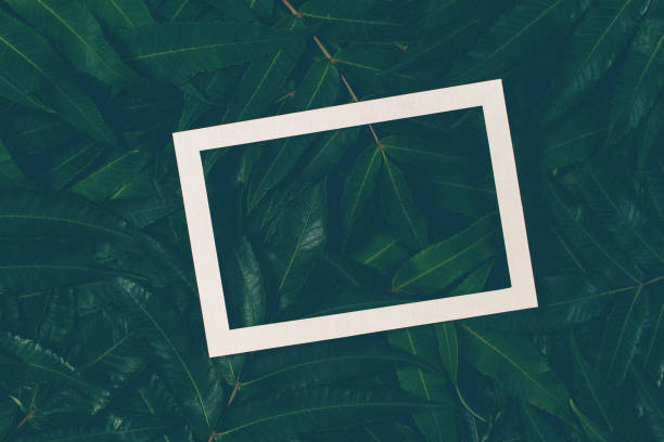istock Creative layout made of green leaves with white frame. Top view, flat lay. 854122196