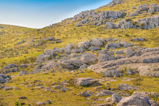 록 키 시골 풍경, 말도 나도, 우루과이 - cerro catedral 뉴스 사진 이미지