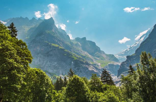 alpine sommerlandschaft - schreckhorn stock-fotos und bilder