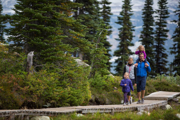 Adventure walk in the forest An adventurous family head out on a hike in a wilderness area, Canada whistler mountain stock pictures, royalty-free photos & images