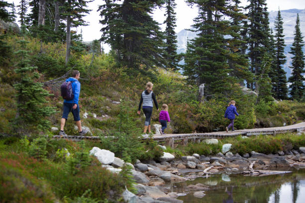 istock Adventure walk in the forest 854144478