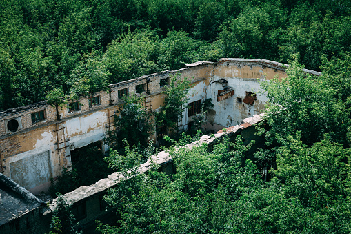 Aerial view of green forest and abandoned factory without roof, ruined building after war, toned
