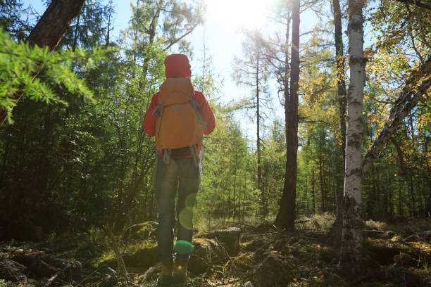 istock hiking woman with backpack in the sunrise forest 854152420