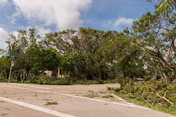 istock Aftermath of Hurricane Irma in Miami, Florida 854154690
