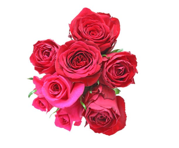 istock Bouquet of rose 854154992