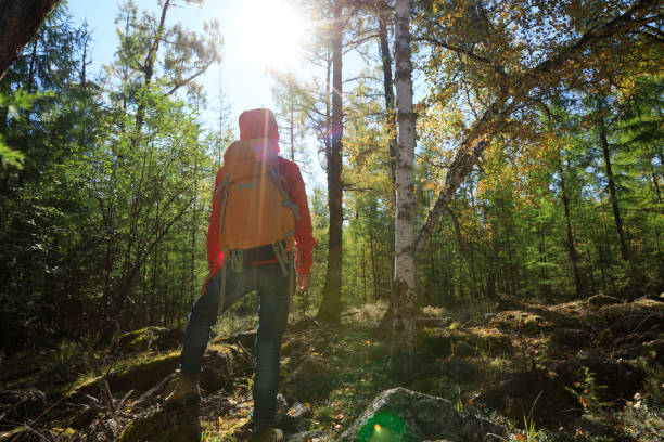 istock hiking woman with backpack in the sunrise forest 854155292