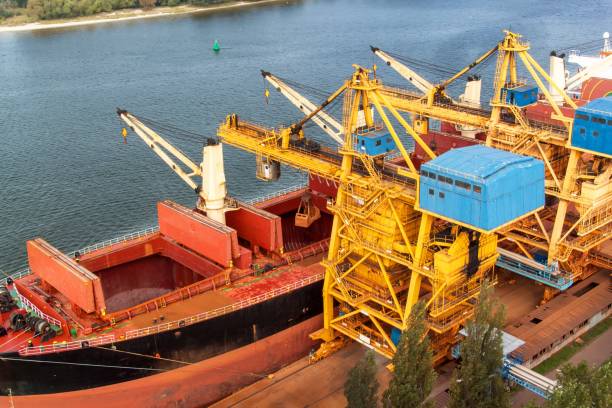 crane unloads iron ore at the harbor. trade in raw materials. work at a port in the baltic sea. - coal crane transportation cargo container imagens e fotografias de stock