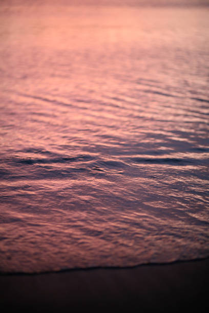 Gentle sea wave on the sand in the twilight. Vertical composition. Golden, purple and pink reflections. Outdoors photography. Beach. Serenity. Relax. Tranquil scene. Sunset. Scenics. Copy space. Background. Texture.