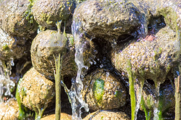 Water and green algae slime running off rocks. Abstract nature image of natural waterfall feature.