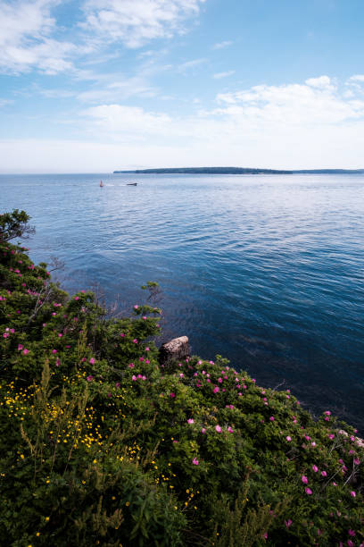 istock View of Bass Harbor Head Lighthouse 854175530