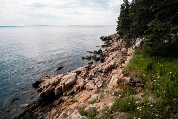 istock View of Bass Harbor Head Lighthouse 854184002