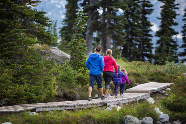 istock Afternoon walking adventure with the kids 854188700