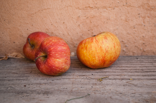 apples on wooden bench