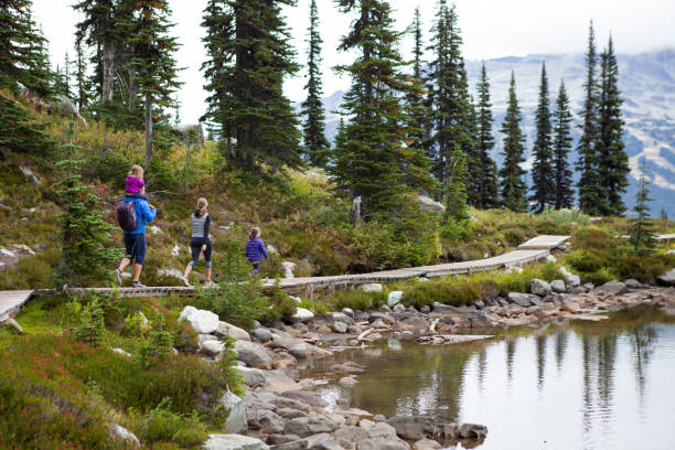 istock Afternoon walking adventure with the kids 854194860