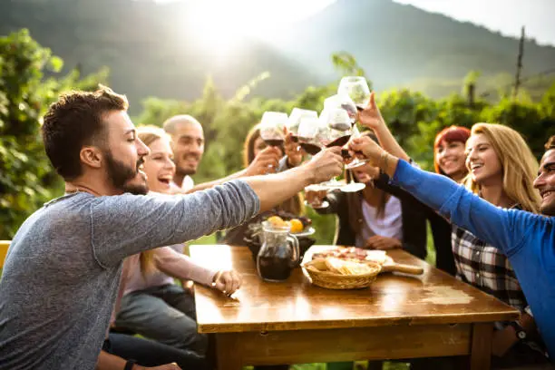 friends doing a wine tasting