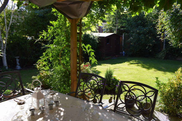 istock Beautiful green garden at midday during summer 854198728