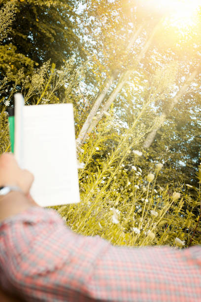 istock nature, book, read, photography, education 854199324