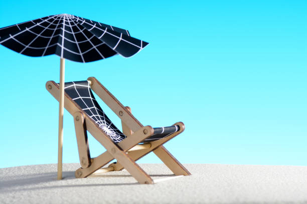 istock Lounge chair and umbrella with spider web on sand 854205446