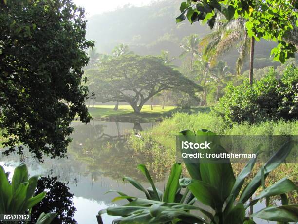 Foto de O Paraíso e mais fotos de stock de Jardim do Éden - Jardim do Éden, Árvore, Idílico