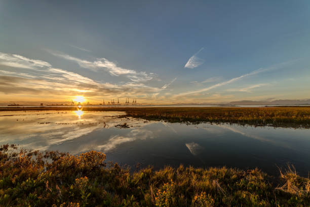 istock Wetland by sea beach at sunset 854212218